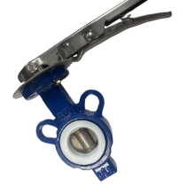   V. MARIPOSA HIERRO INOX 1" PTFE PALANCA